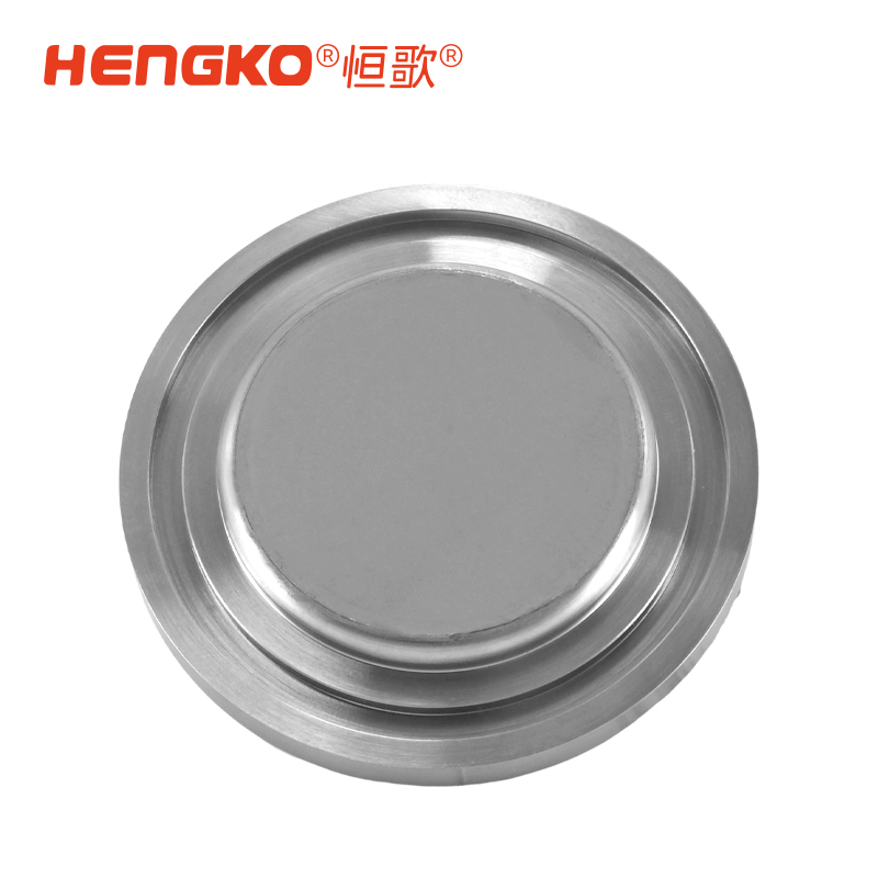 微電子半導體晶圓制程工藝氣體過濾終端 316L 外殼快速進氣擴散器